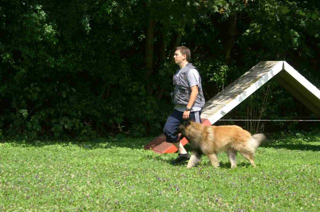 obeissance 2014-08-02